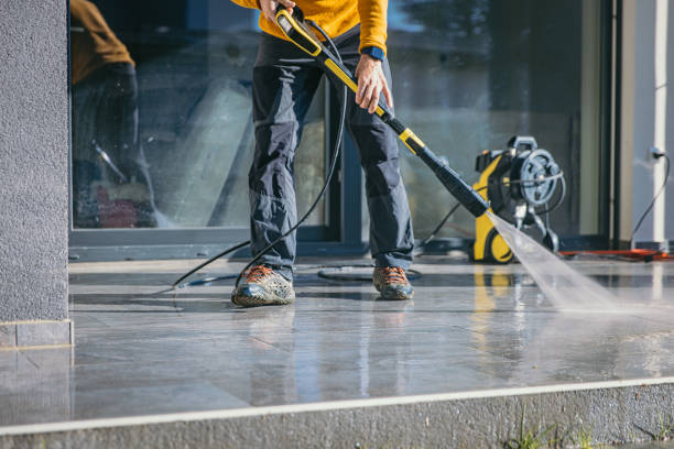 Animal Enclosure Cleaning in Percy, IL
