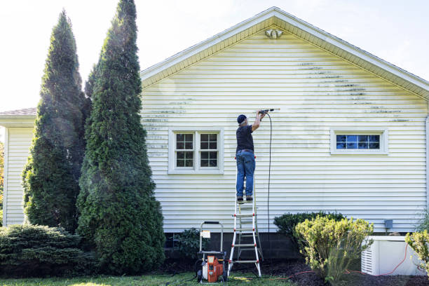 Best Fence Cleaning  in Percy, IL